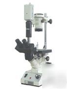 40-600X inverted trinocular lab microscope w camera