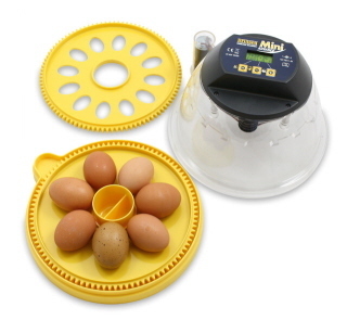 Quality brinsea mini advance autoturn egg incubator