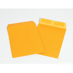 Shoplet select kraft gummed envelopes 6 x 9
