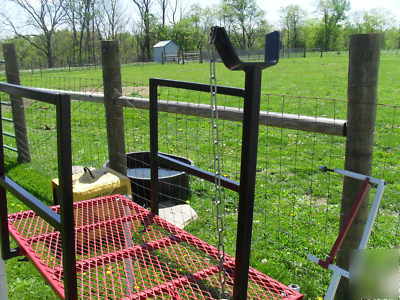 Goat sheep hoof trimming fitting stand headpiece 