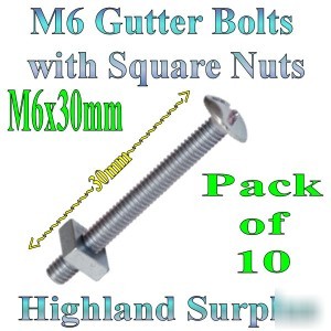 10 x M6 x 30M gutter/roof bolts & square nuts