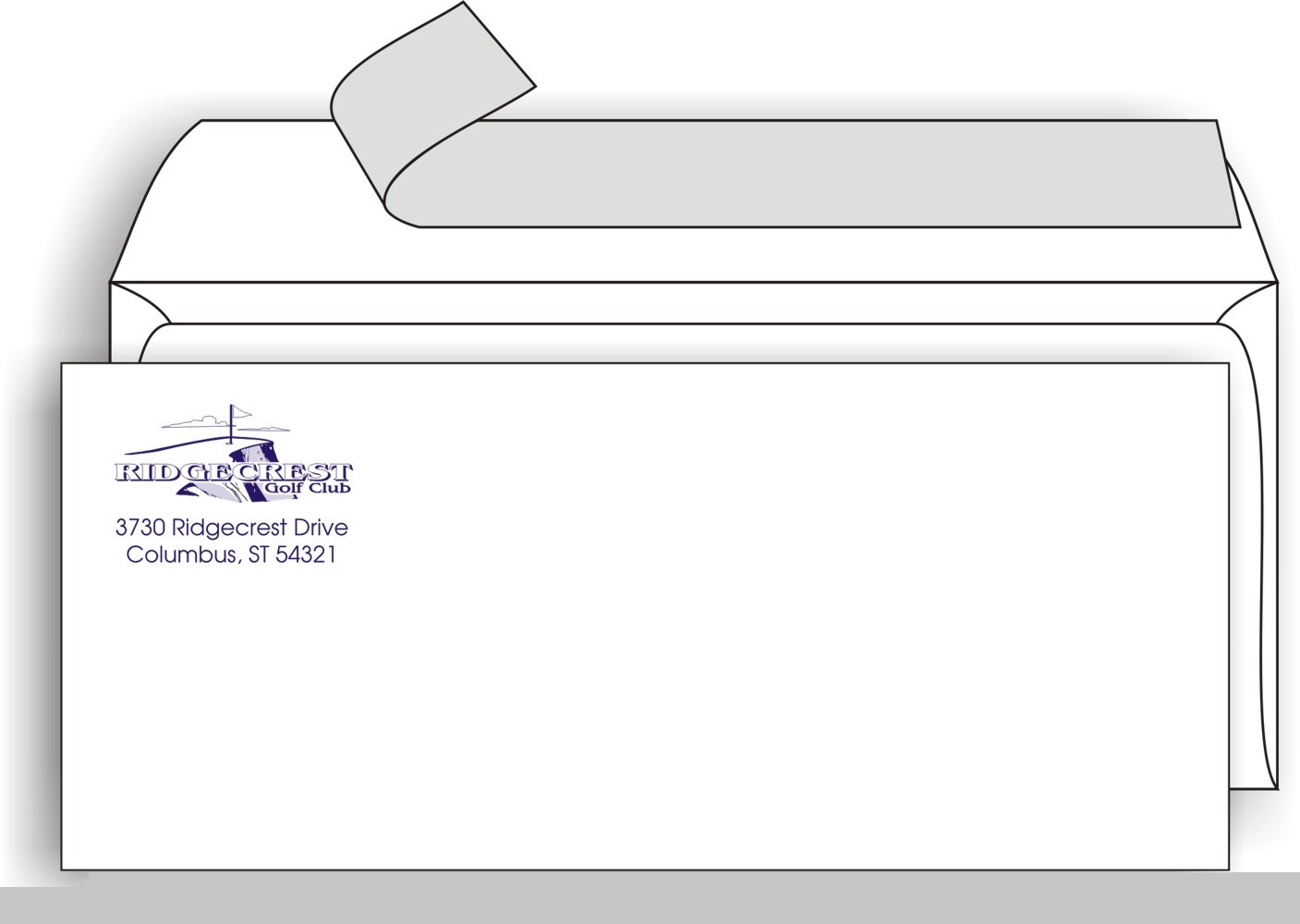 500 peel and seal envelope printing custom #10 regular