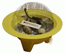 Gqf chick-bator 220 volt mini egg incubator - for kids
