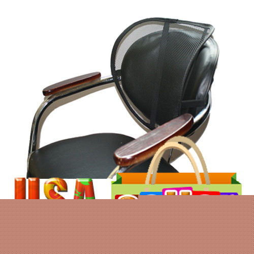 Mesh back lumbar support for car seat chair cool vent