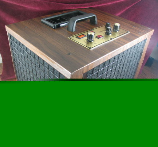 Powerful commercial bar air cleaner purifier ozone O3