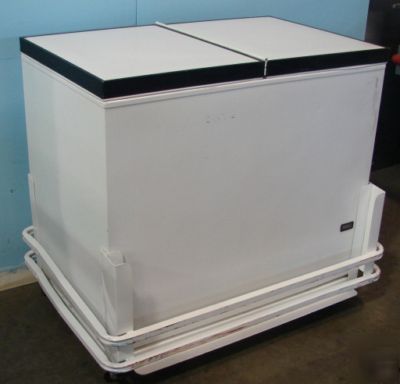 Fricon bunker freezer with flip top lid, 42