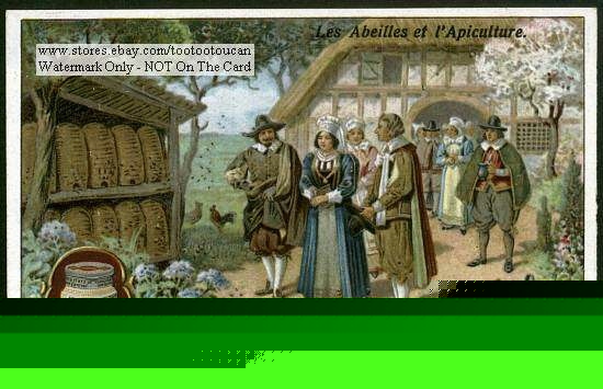 17TH century beekeeper in westphalia germany 1920S card