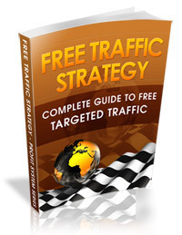 Complete blueprint to generating free traffic for life,