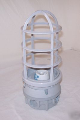Utility caged light fixture