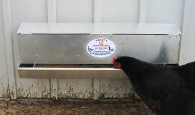 Metal poultry/chicken/pheasant/quail/gamebird feeder 