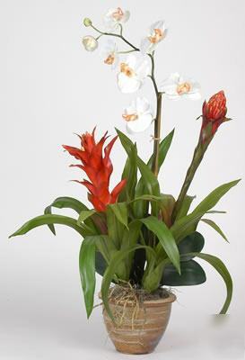 Silk orchid bromeliad * big potted tropical arrangement