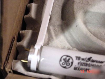 Ge fluorescent lamps F32T8 / SP41 / u / 6 case sale