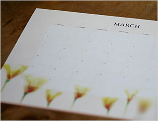 In bloom 365 - cally g. lara desk calendar pad 2010 