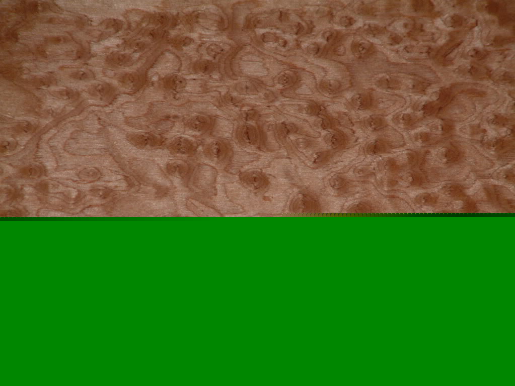 Engineered bird's eye maple veneer 4SF (16