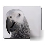 New mousepad african gray parrot