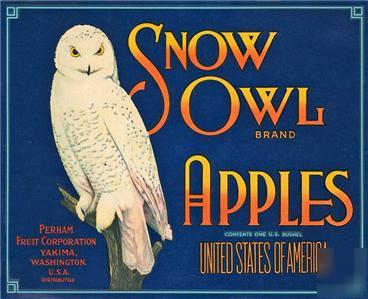 Snow owl fruit/veg. crate label print