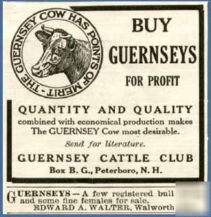 1914 ad for peterboro, n.h. guernsey cattle club