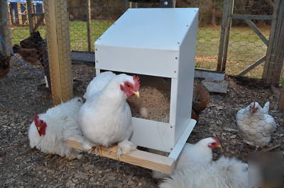 Chicken nesting box, 