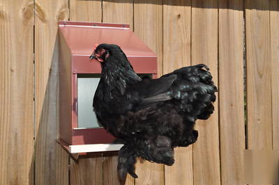 Chicken nesting box, 