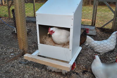 Chicken nesting box, 