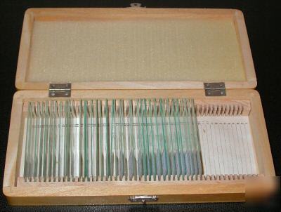 New box of 30 prepared botanical microscope slides 