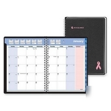 New '10 at-a-glance 76PN06 prof. monthly pink ribbon ed