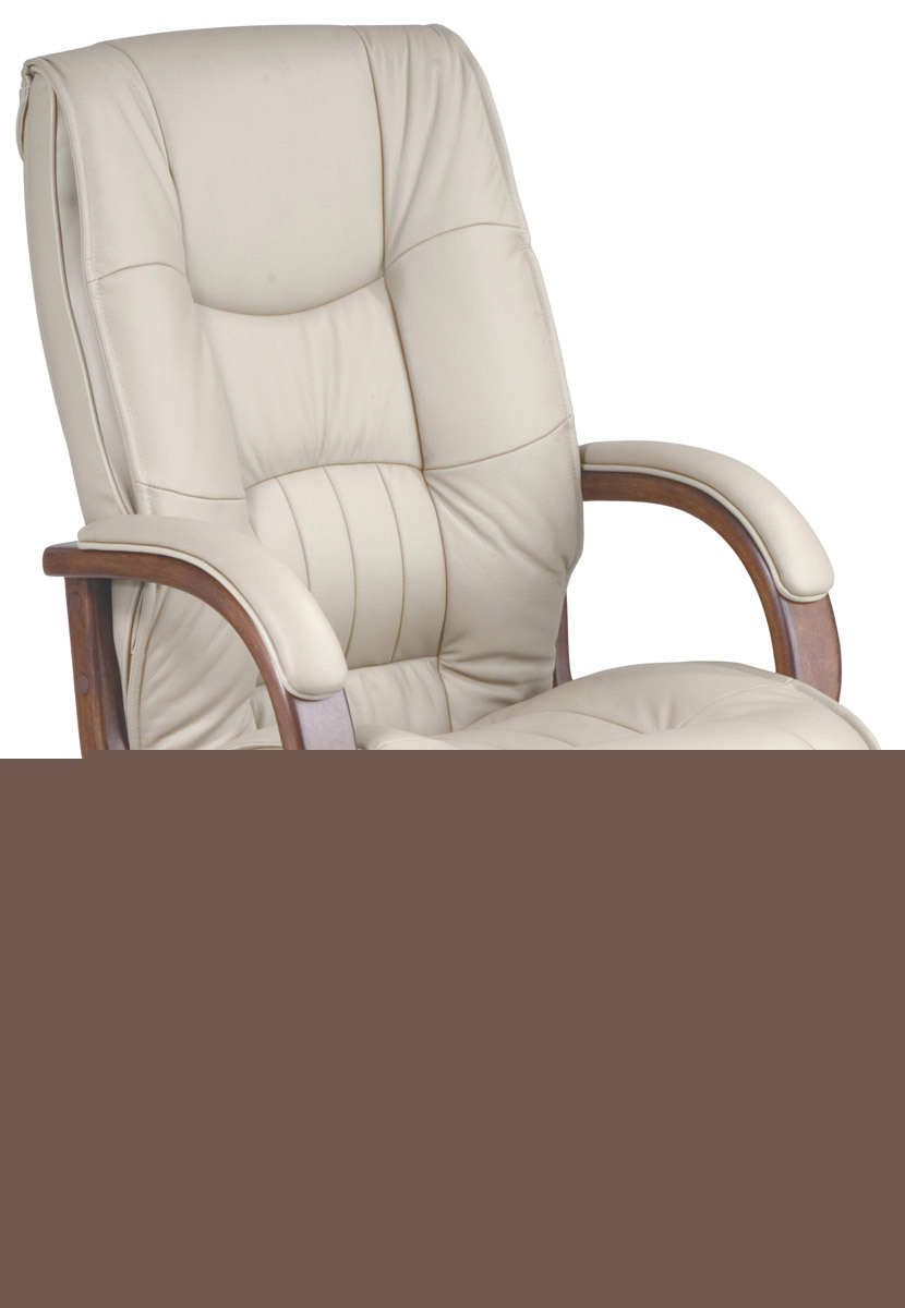 Executive computer office desk tan leather chair