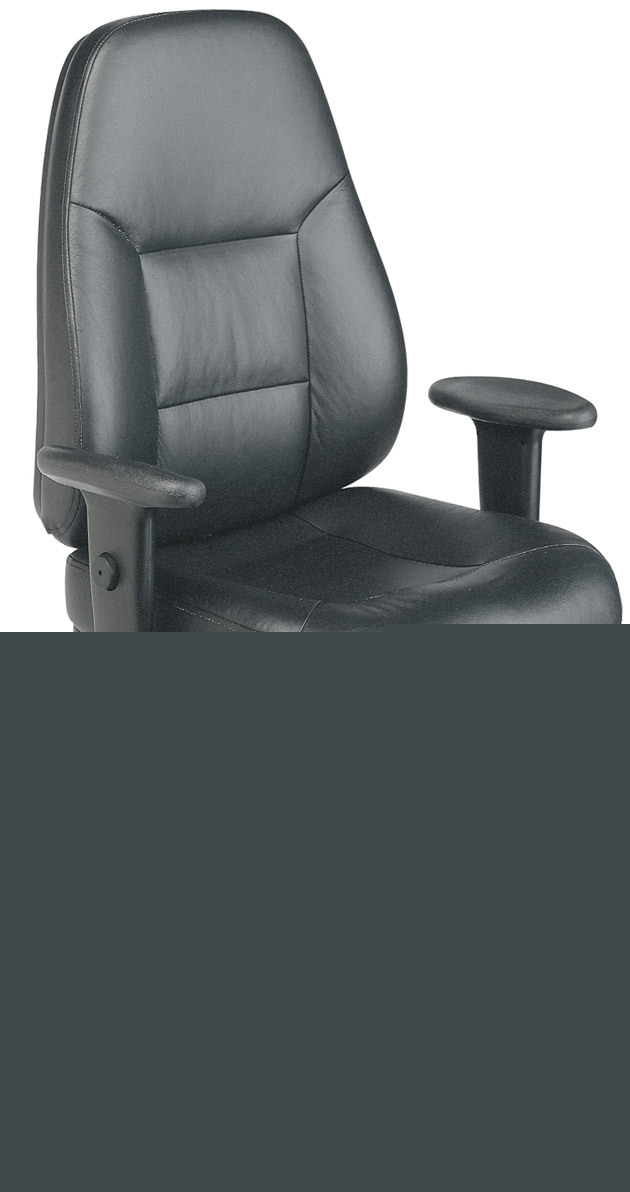 Deluxe black leather manger executive office chair