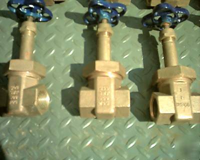 Nib co 1 inch t- 174-a threaded gate valve class 300